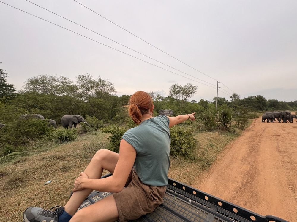 Nyerere Safari with Game Drives & Boat Trip