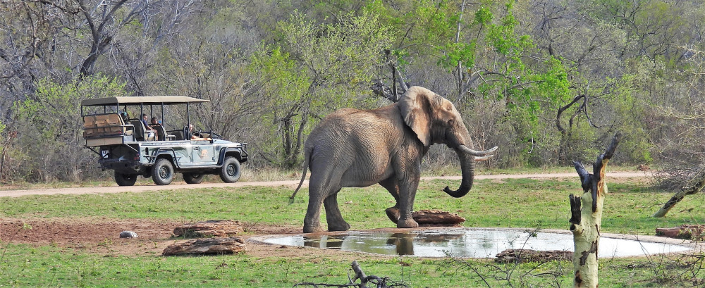 Luxury Safari Big Five (Self-Drive)