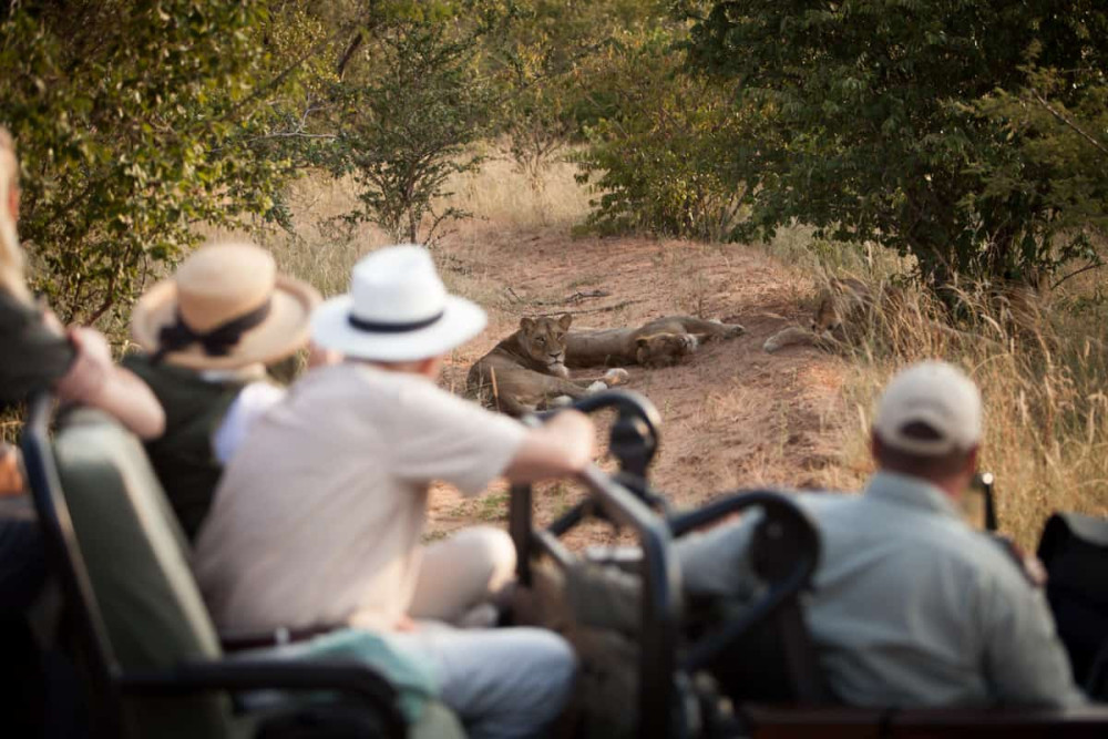 Luxury Greater Kruger to Canyon Safari Adventure