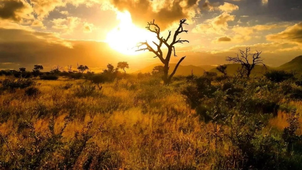 Dumela Camping Budget Adventure