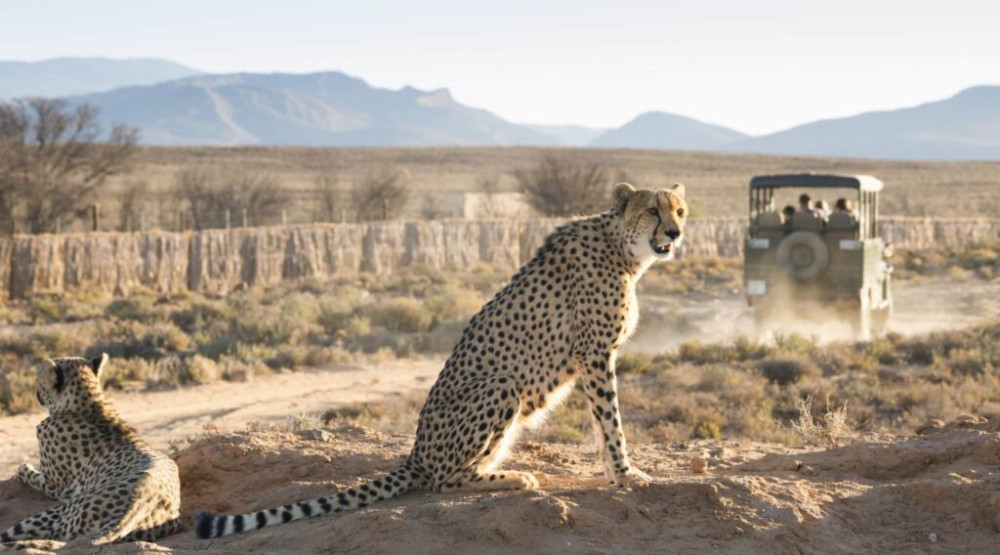 Luxury Ivory Moon Lodge Safari in the Kruger