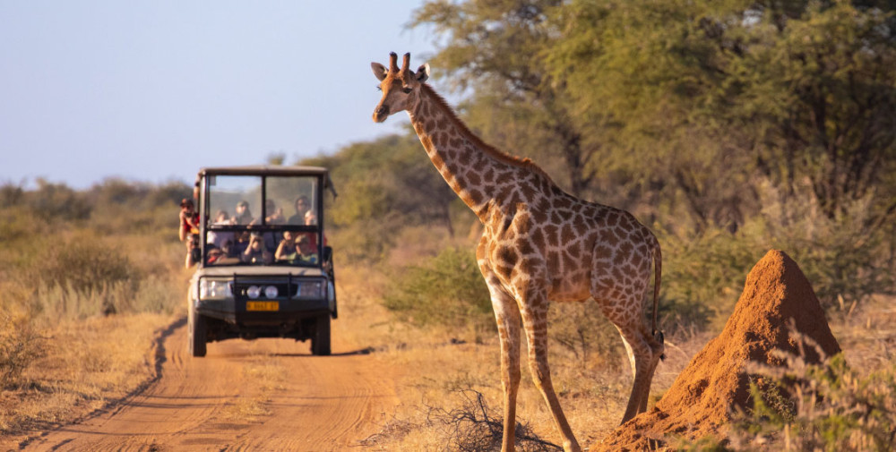Luxury Ivory Moon Safari in Kruger National Park