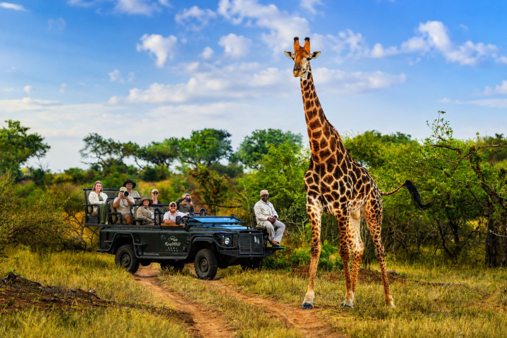 Greater Kruger - Kwambili Safari Lodge