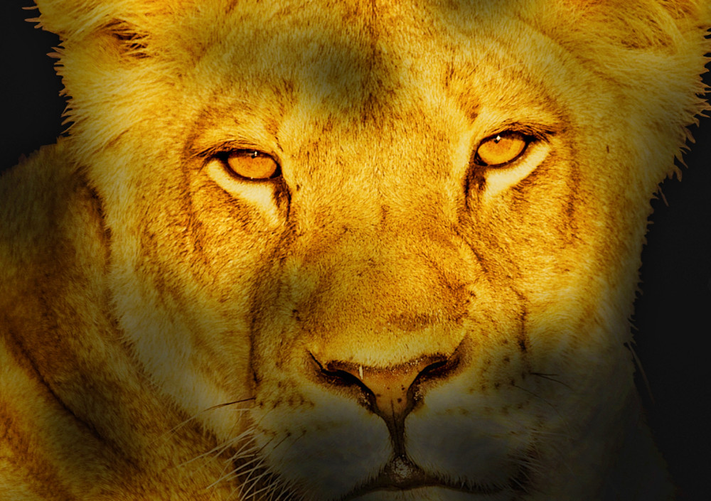 Exclusive Kruger/Private Luxury Lodge Safari