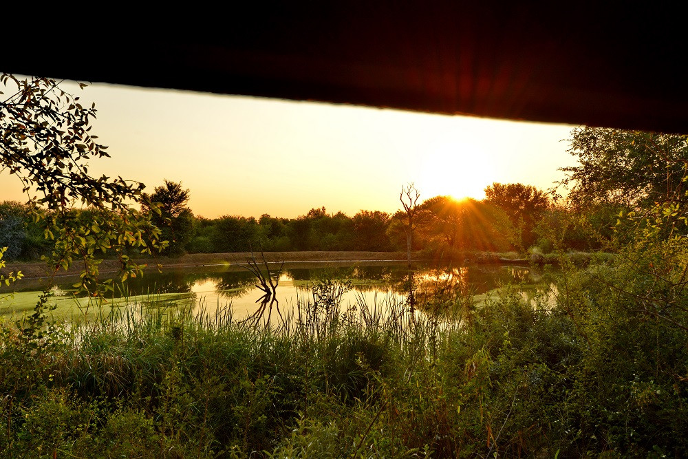 Pilanesberg - Black Rhino Game Lodge