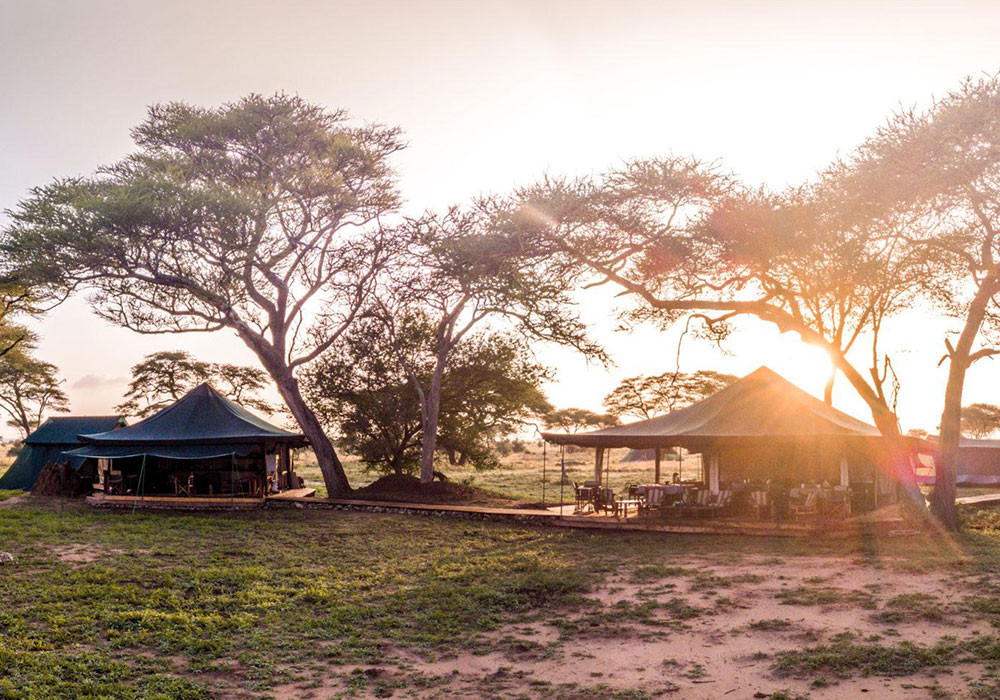 Luxury Mantobeni Safari