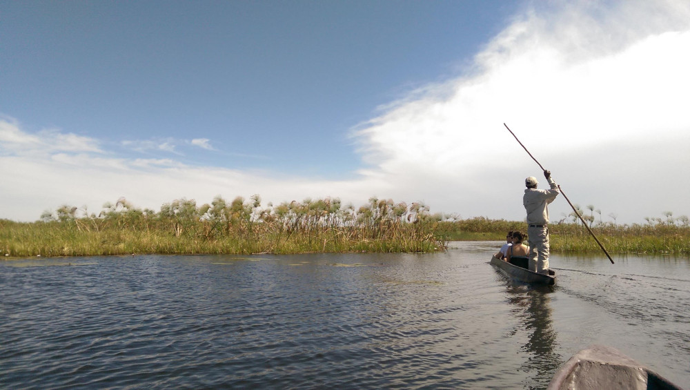 Okavango Fly-in Safari Special - Free Night