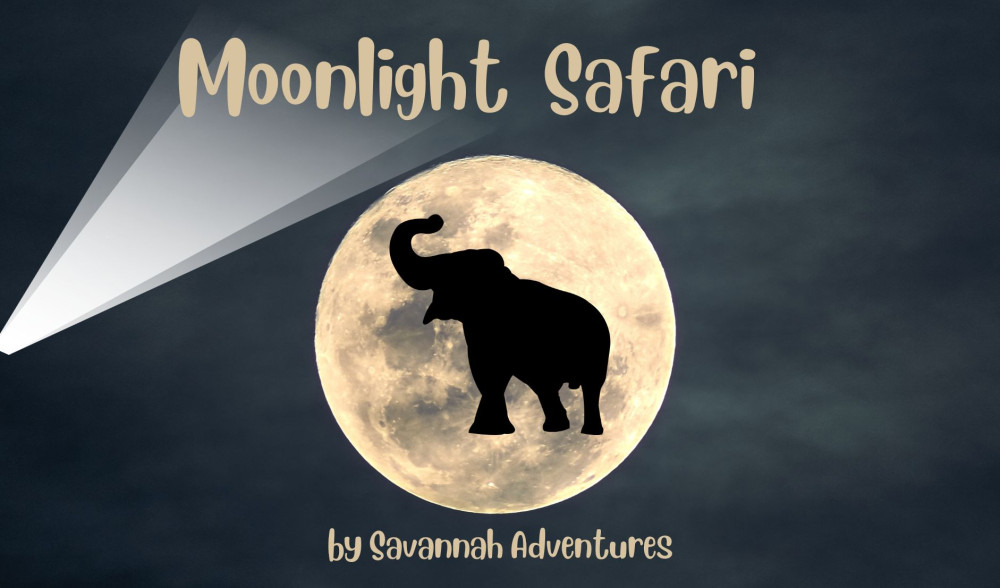 Moonlight Safari near Victoria Falls, 2 Hours