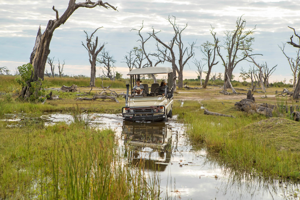 Okavango Delta Luxury Safari