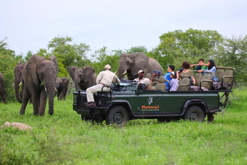 Kruger - Motswari Game Reserve