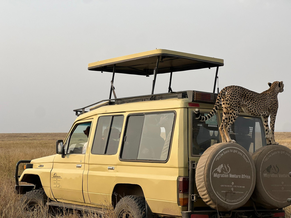 Fly-in Fly-out Ngorongoro & Tarangire -Zanzibar