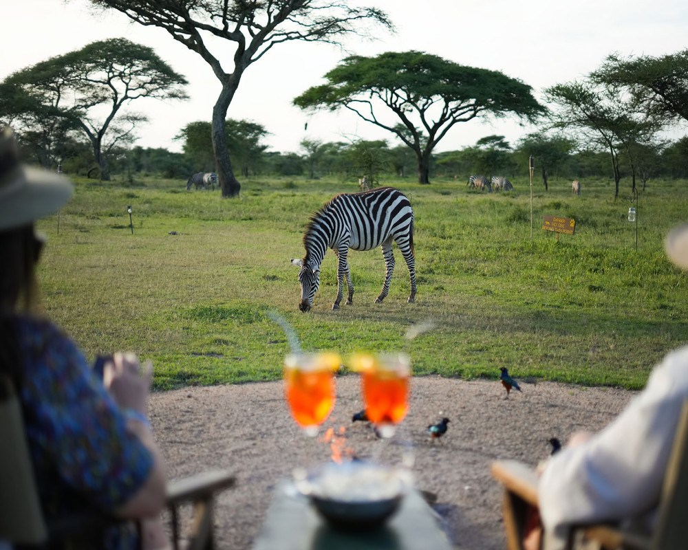 Best of Kenya and Tanzania Mid-Range Safari