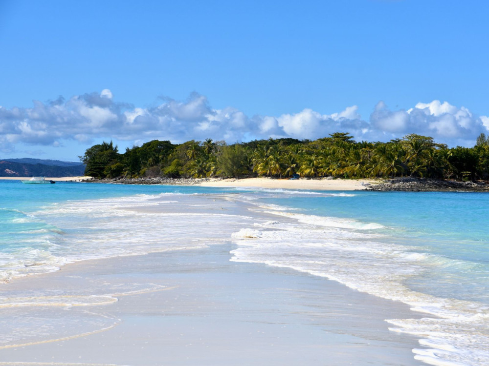 Beach and Lemur Explorer