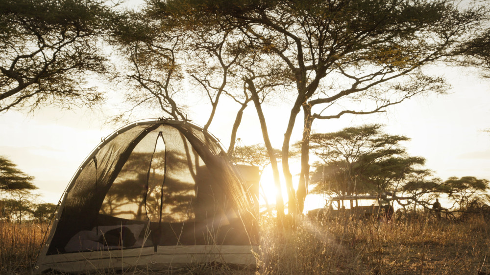 Walking Safari & Fly Camping in the Serengeti