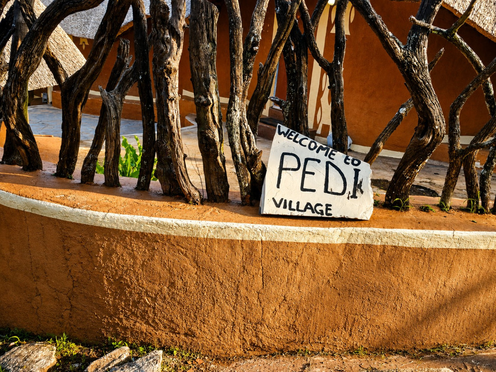 Cradle of Humankind Tour & Lesedi Cultural Village