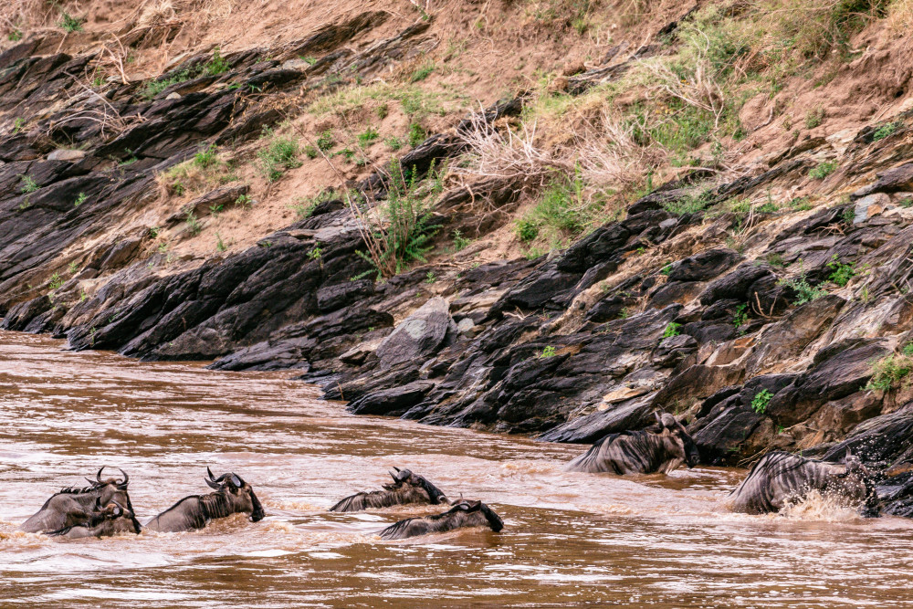 Tanzania Midrange Cultural & Wildlife Safari