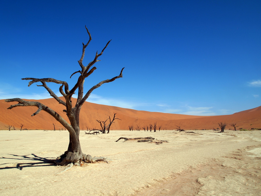 Namibia Highlights Self-Drive Tour