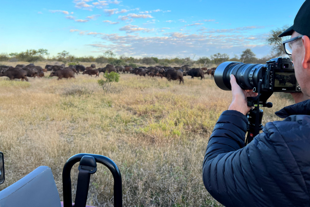 Kruger Park and Private Lodge Combo Safari