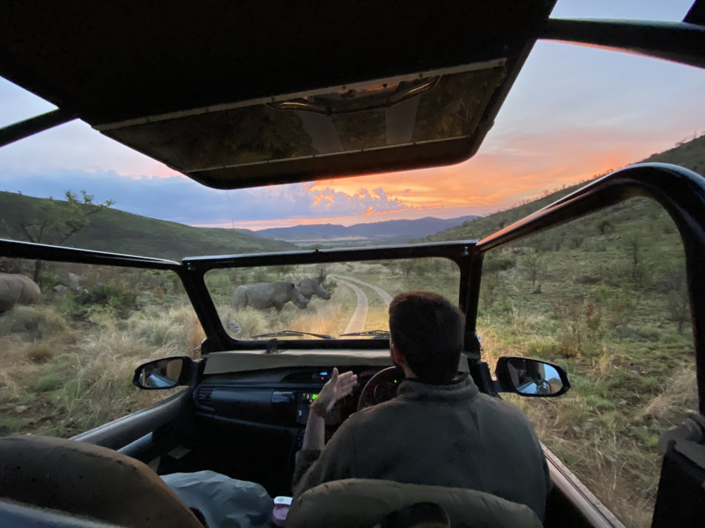 Ivory Tree Safari Transfer & Game Drive Package