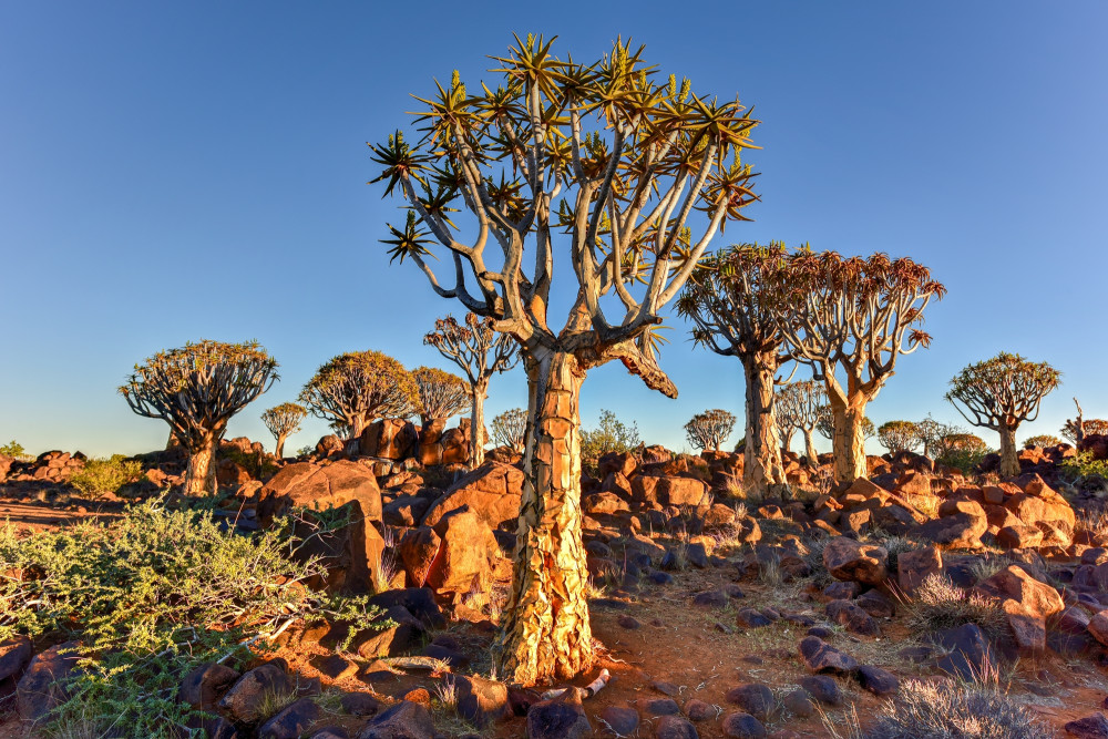 Southern Namibia Adventurer