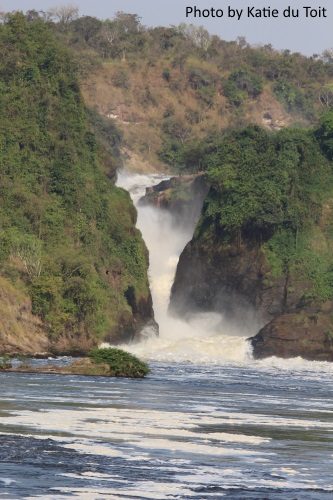Falls & Game Safari to Murchison Falls NP