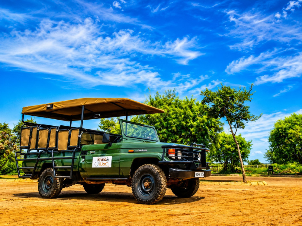 Rhino & Lion Safari from Johanensburg