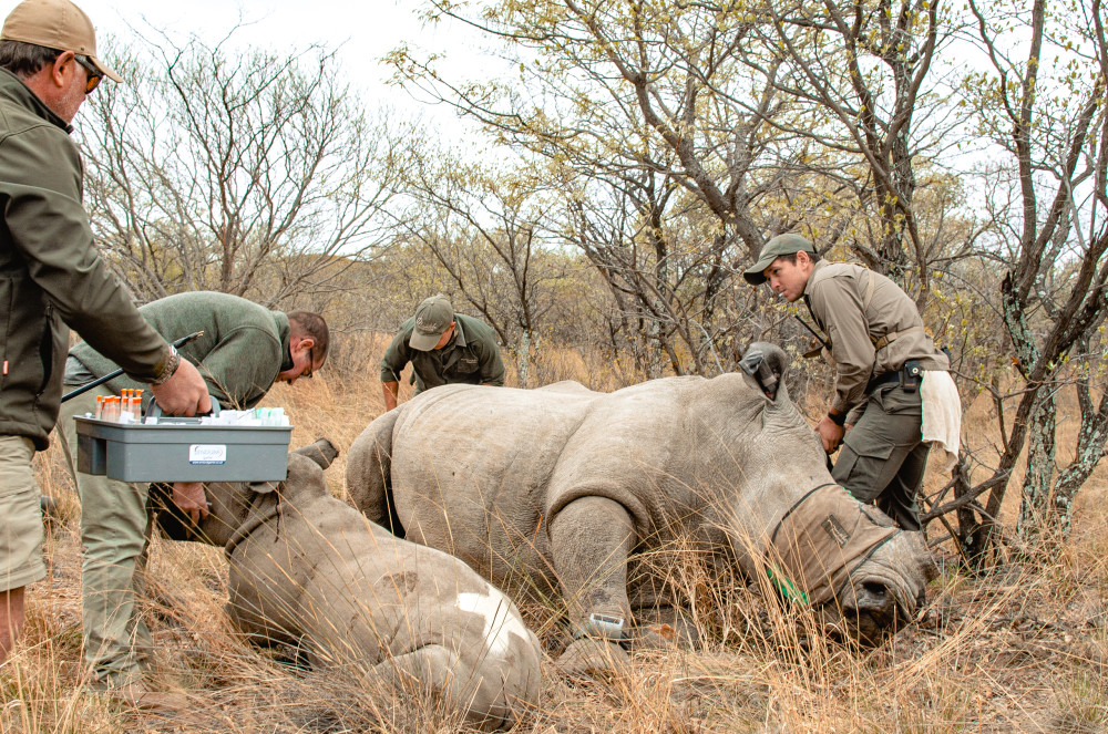 Community Interaction and Conservation Experiences