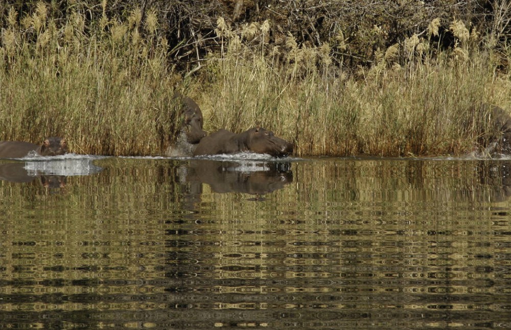 Stay Inside Kruger, Boat Cruise & Panorama Route