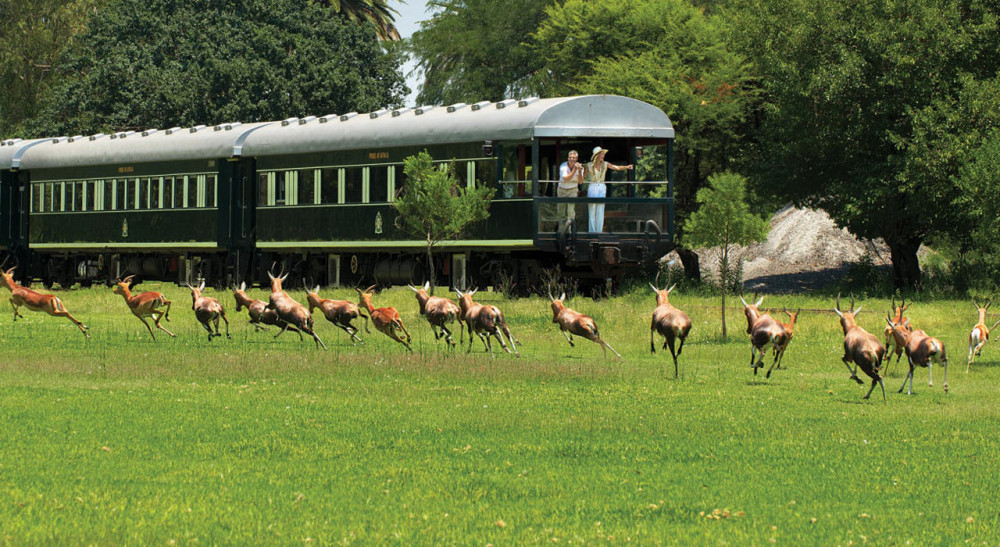 Luxury Rail Journey and Safari