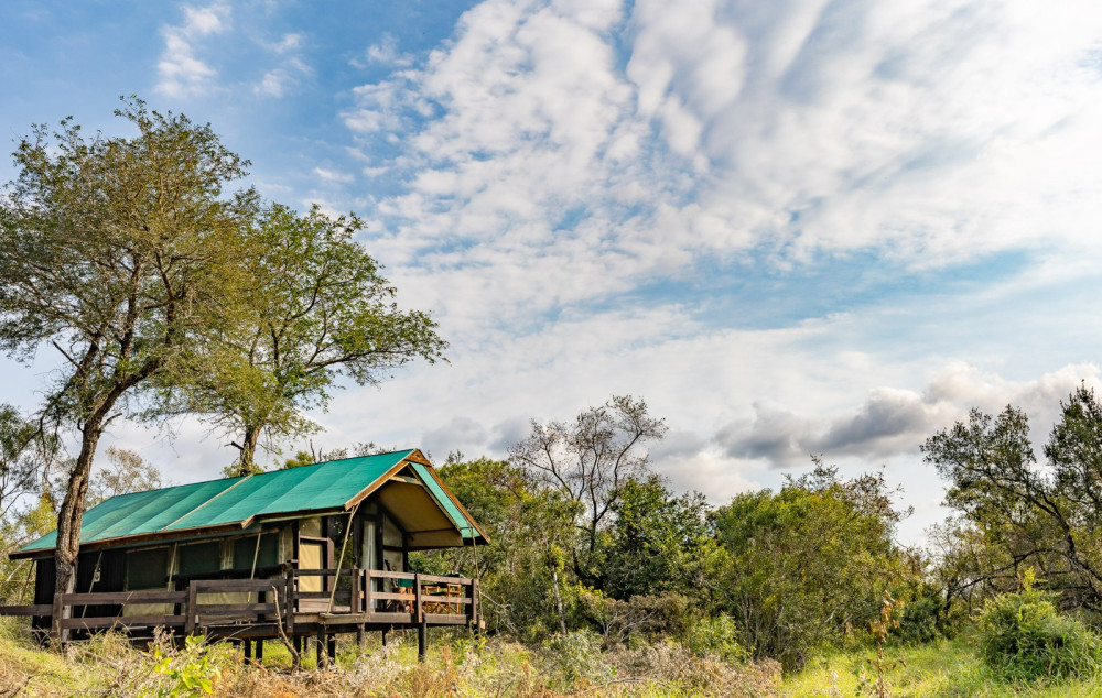 Manyeleti Ndzhaka Tented Camp Experience