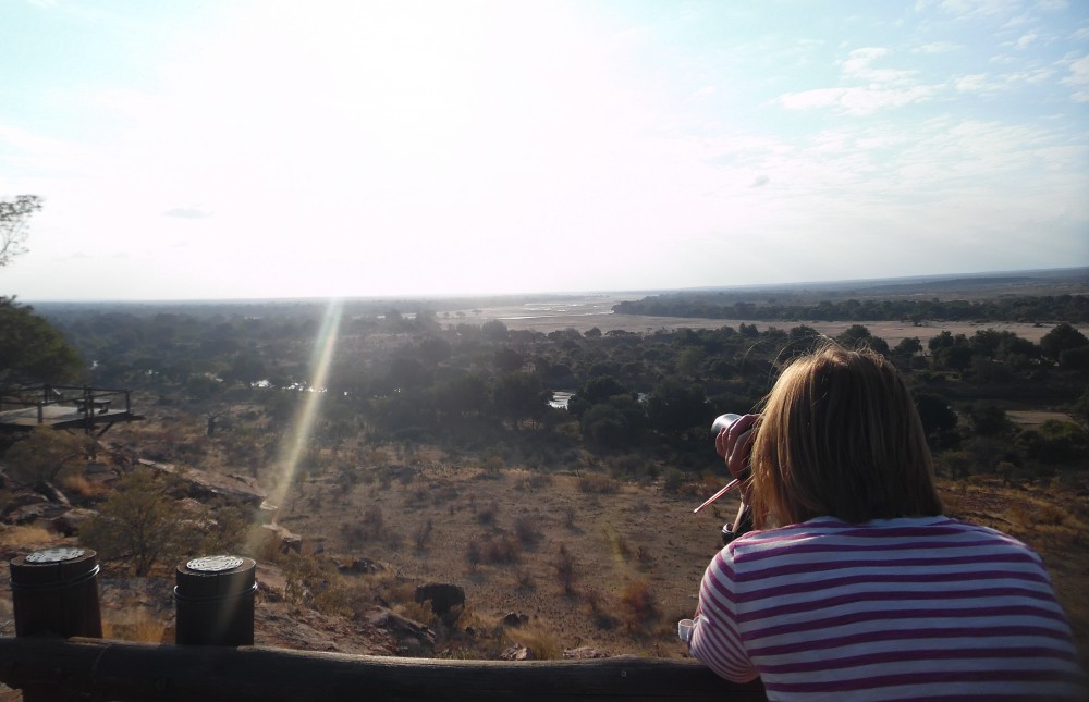 Cradle of Humankind & Northern Safari