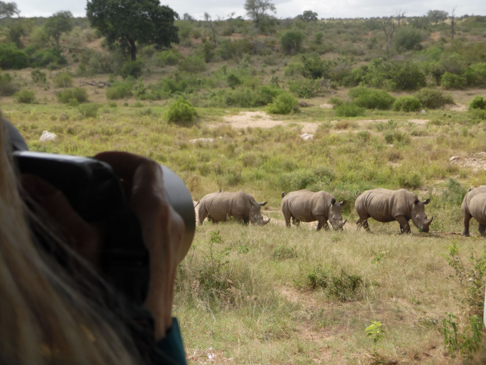 South African Wildlife Expedition