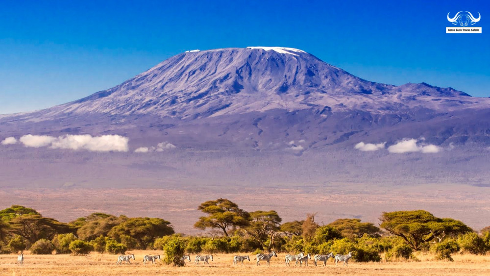Amboseli -Explore the Land of the Legendary Craig