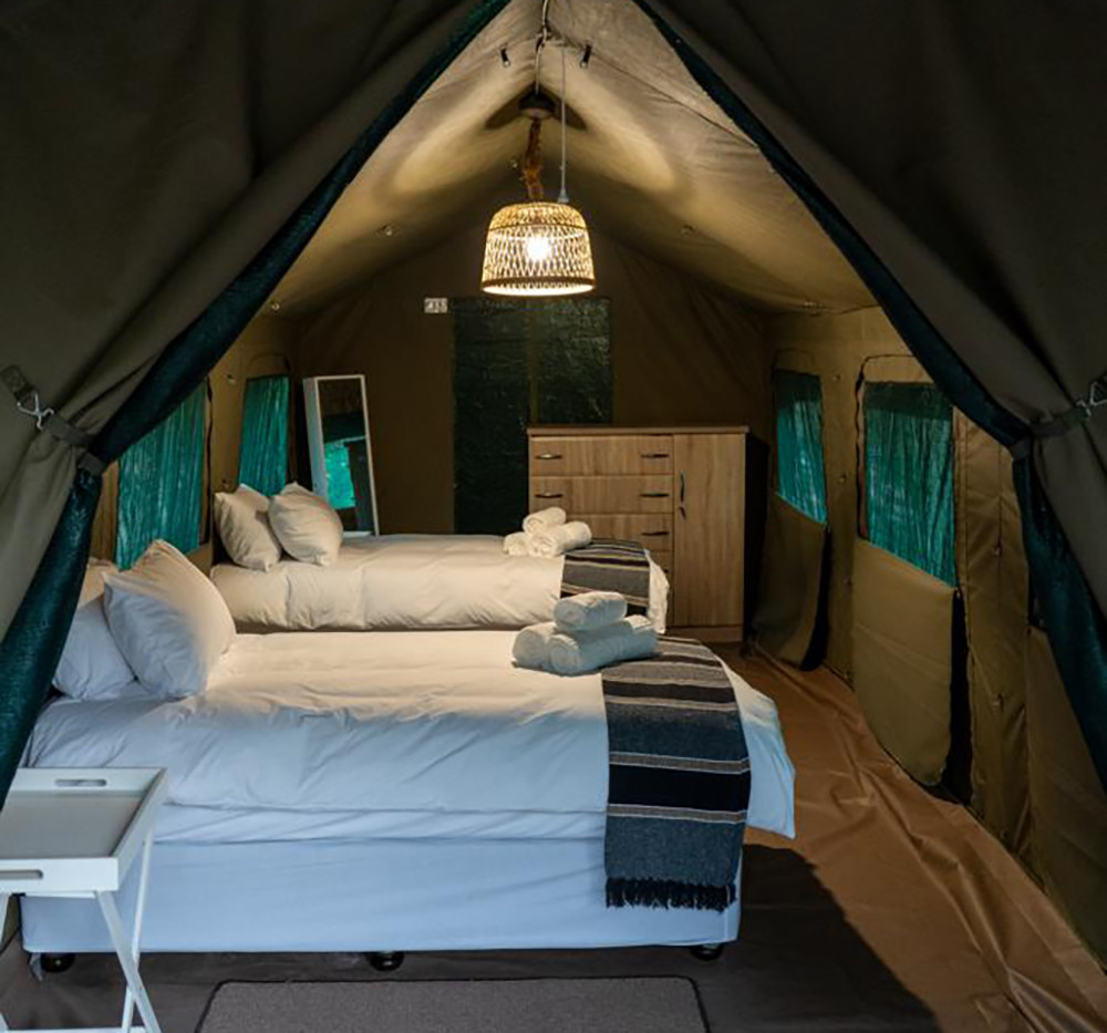 Ultra Budget Glamping Kruger Safari