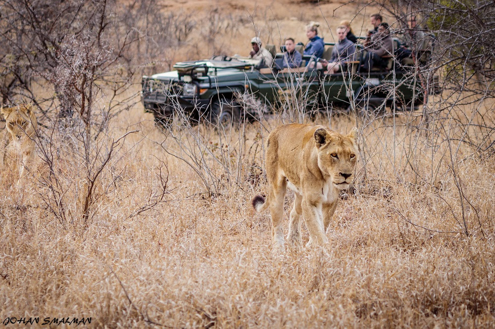 Kruger - Shindzela Tented Camp