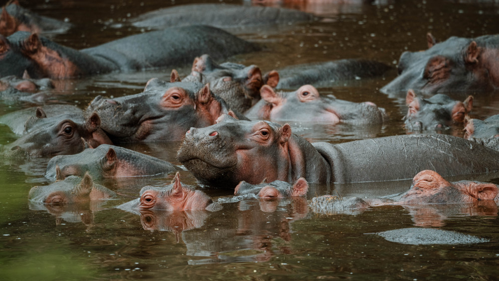 Arusha, Tarangire, Ngorongoro with Balloon Safari