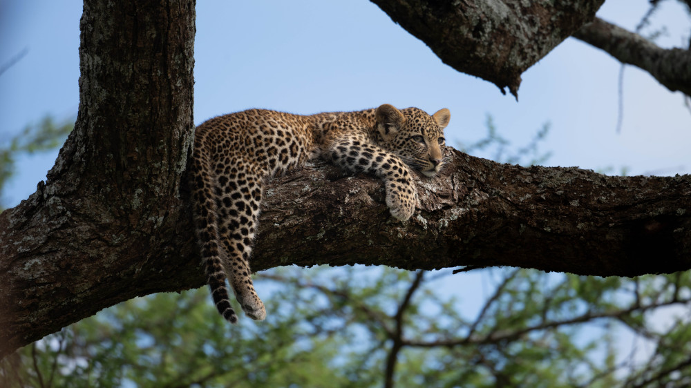 Tour - Canoeing, Empakai Trekking, Olduvai, Walks