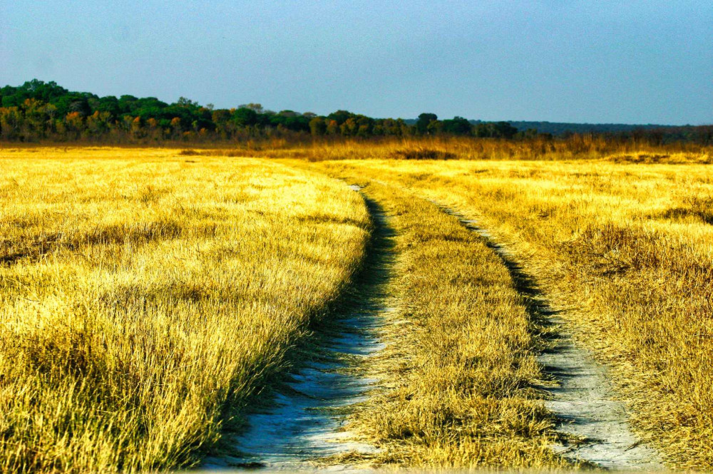 Zimbabwe Extended Safari Game Drive - Zambezi NP