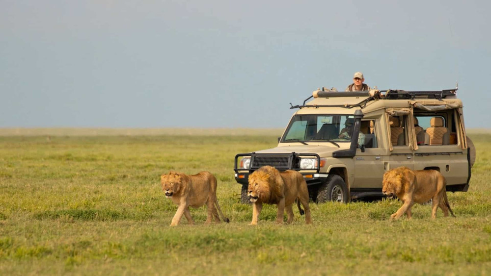Private Luxury Safari from Zanzibar + Flights