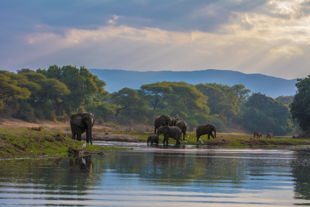 Off the Beaten Track Safari in Zambia