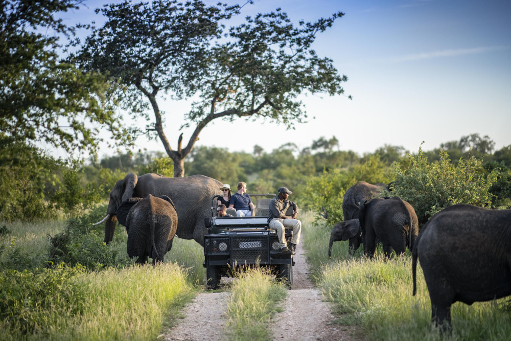 Walking Safari and Eco-Lux Kruger Escape