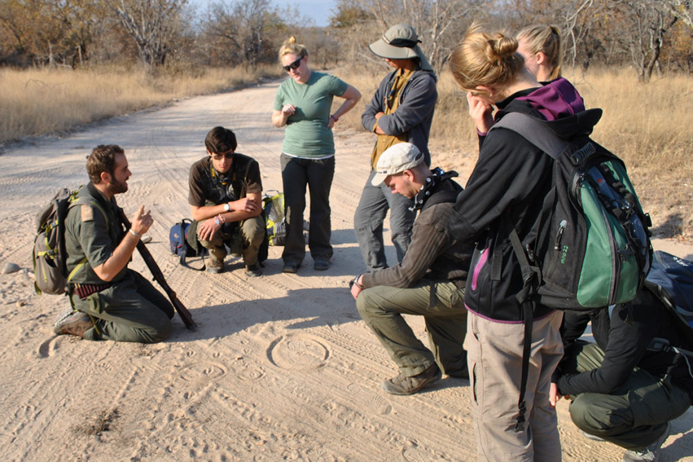 Wildlife Conservation Safari in Greater Kruger NP