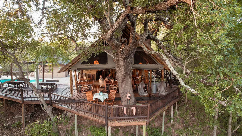 Sabi Sands Umkumbe Bush Lodge Safari