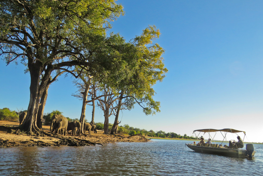 Botswana Baobabs and Okavango Delta