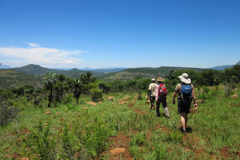 Walking Safari in South Africa and Swaziland