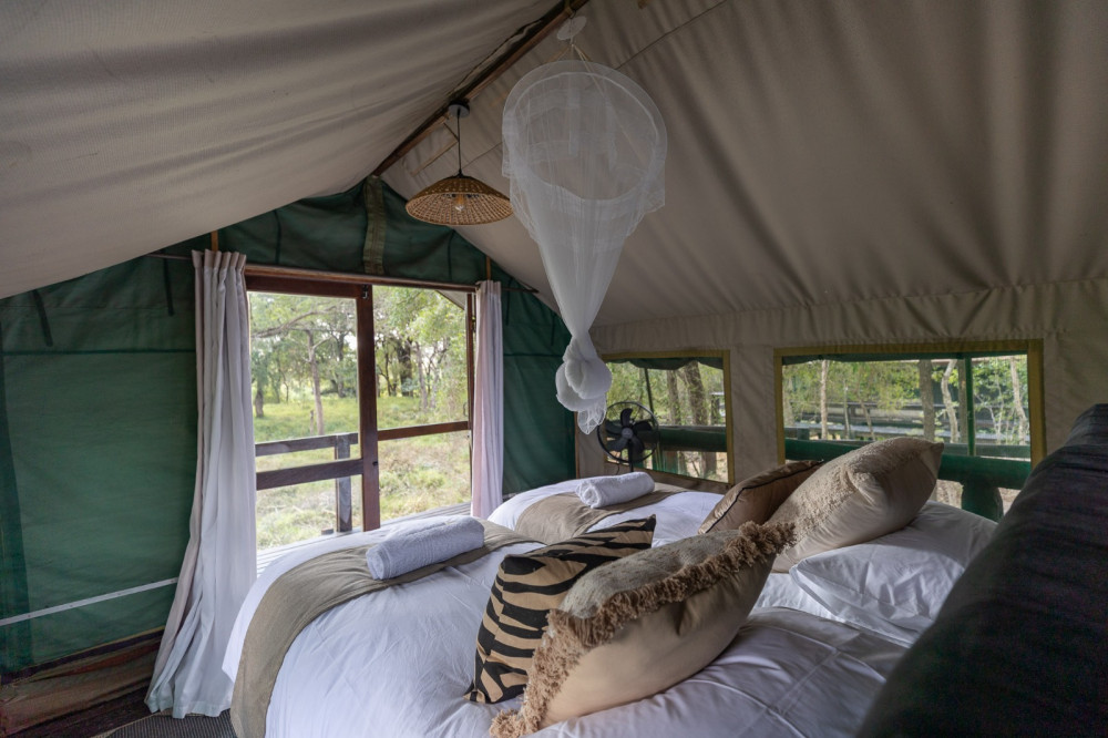 Manyeleti Ndzhaka Tented Camp Experience