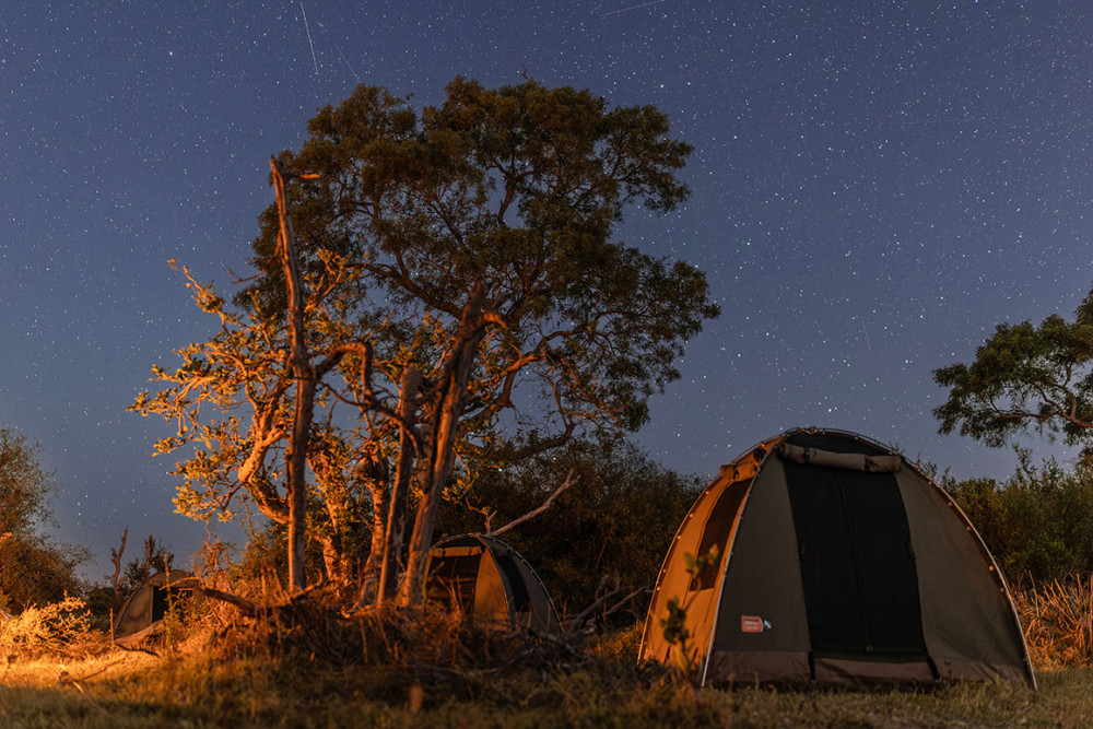 Mobile Tented Safari Northern Botswana to Zimbabwe