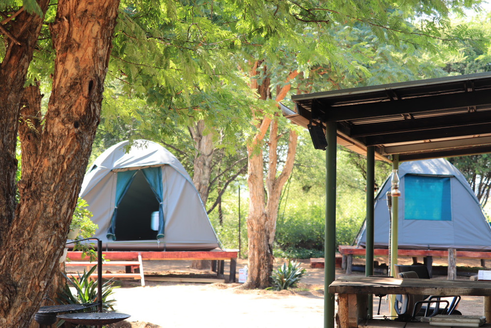 Tlou Tented Safari Camp in Pilanesberg