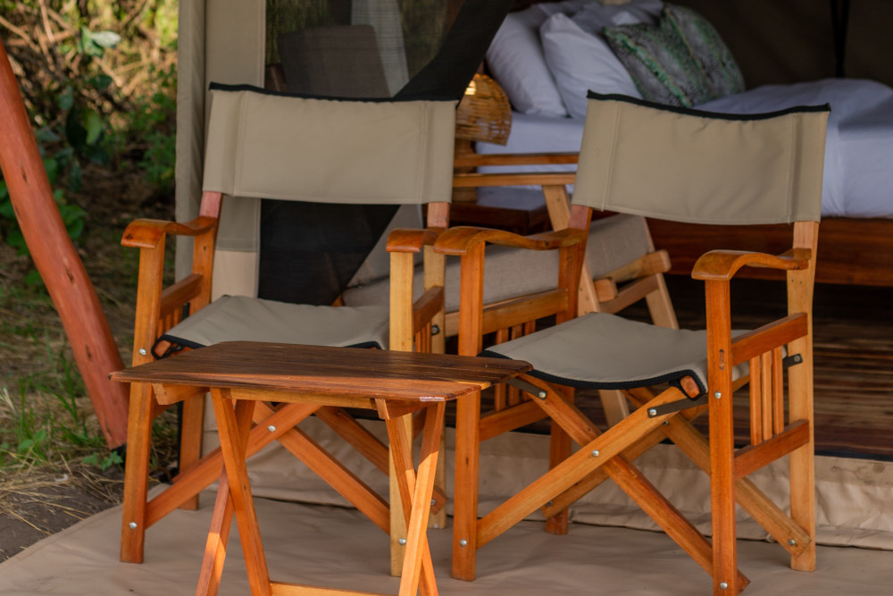 Epic Big Five Adventure