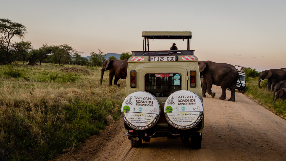 Big Five Safari Tarangire Serengeti and Ngorongoro